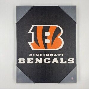 New Cincinnati Bengals Sign 2012 NFL